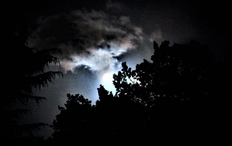 NIGHT WITHOUT STARS Douglas Reeman's Official Website